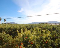 Reventa - Finca - Murcia - Costa blanca