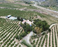 Reventa - Finca - Murcia - Rincón de Seca