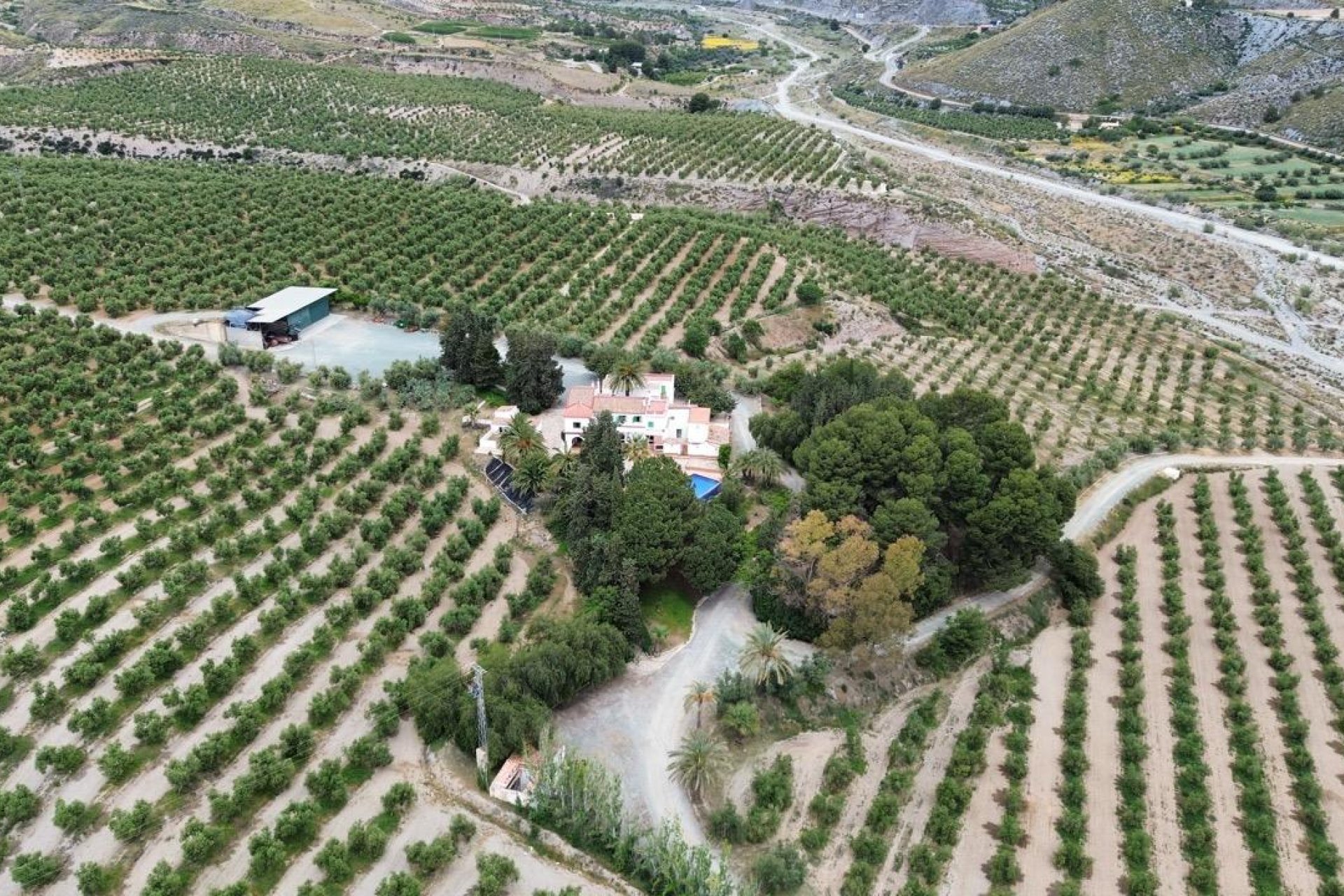 Reventa - Finca - Murcia - Rincón de Seca