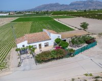 Reventa - Finca - Orihuela - Desamparados-Hurchillo-Torremendo