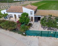 Reventa - Finca - Orihuela - Desamparados-Hurchillo-Torremendo