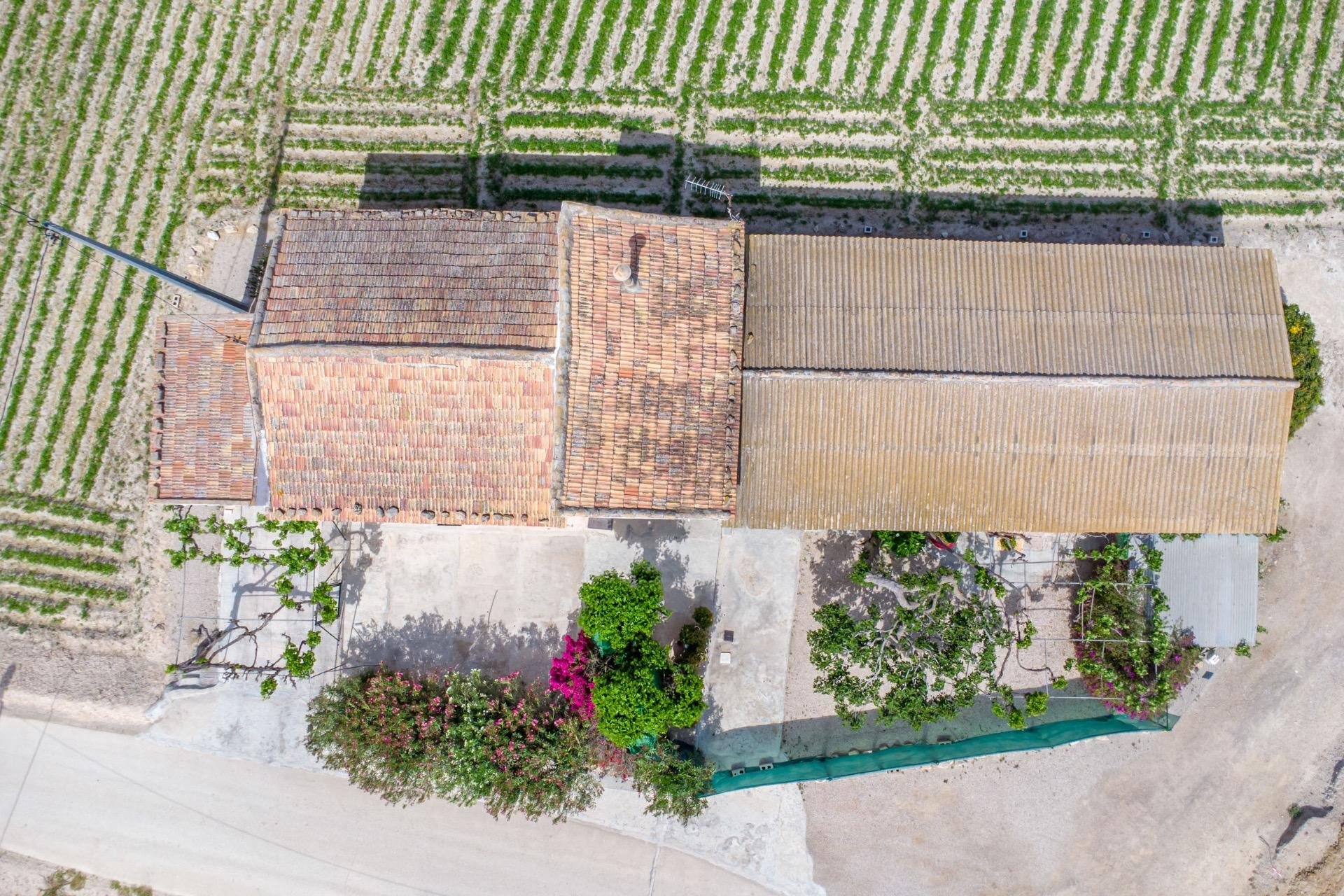 Reventa - Finca - Orihuela - Desamparados-Hurchillo-Torremendo