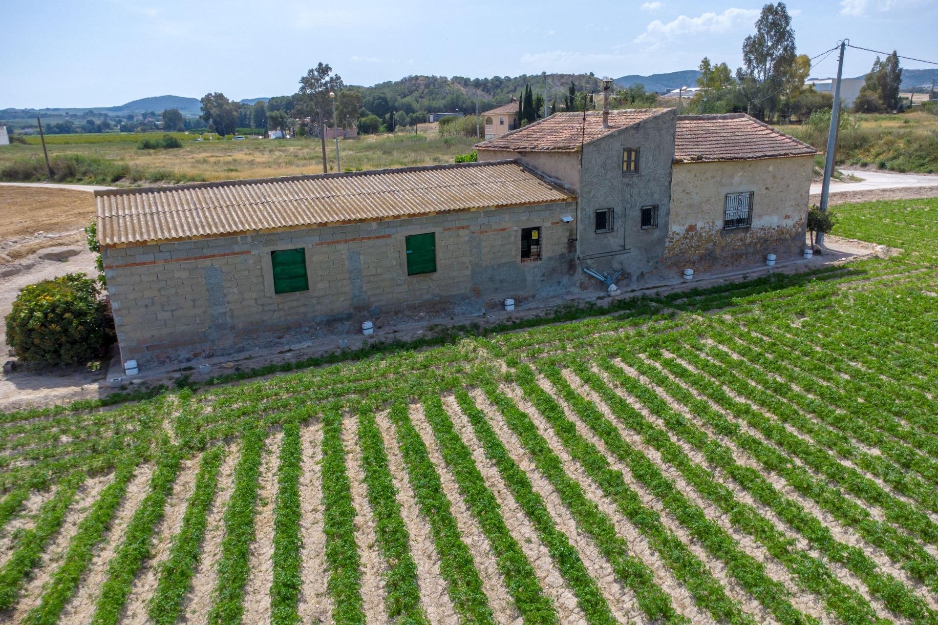 Reventa - Finca - Orihuela - Desamparados-Hurchillo-Torremendo