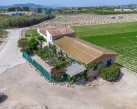 Reventa - Finca - Orihuela - Desamparados-Hurchillo-Torremendo