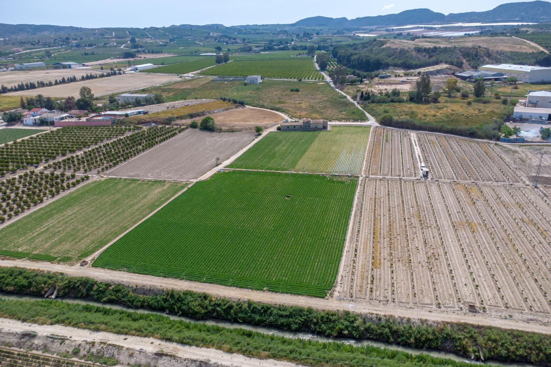 Reventa - Finca - Orihuela - Desamparados-Hurchillo-Torremendo