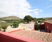 Reventa - Finca - Orihuela - Torremendo