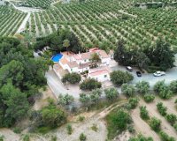 Reventa - Finca - Puerto Lumbreras - Nogalte