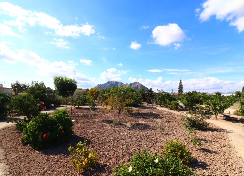 Reventa - Finca - Rafal - El Mudamiento