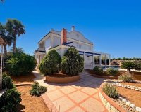Reventa - Finca - San Fulgencio - La Marina