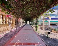 Reventa - Finca - San Fulgencio - La Marina