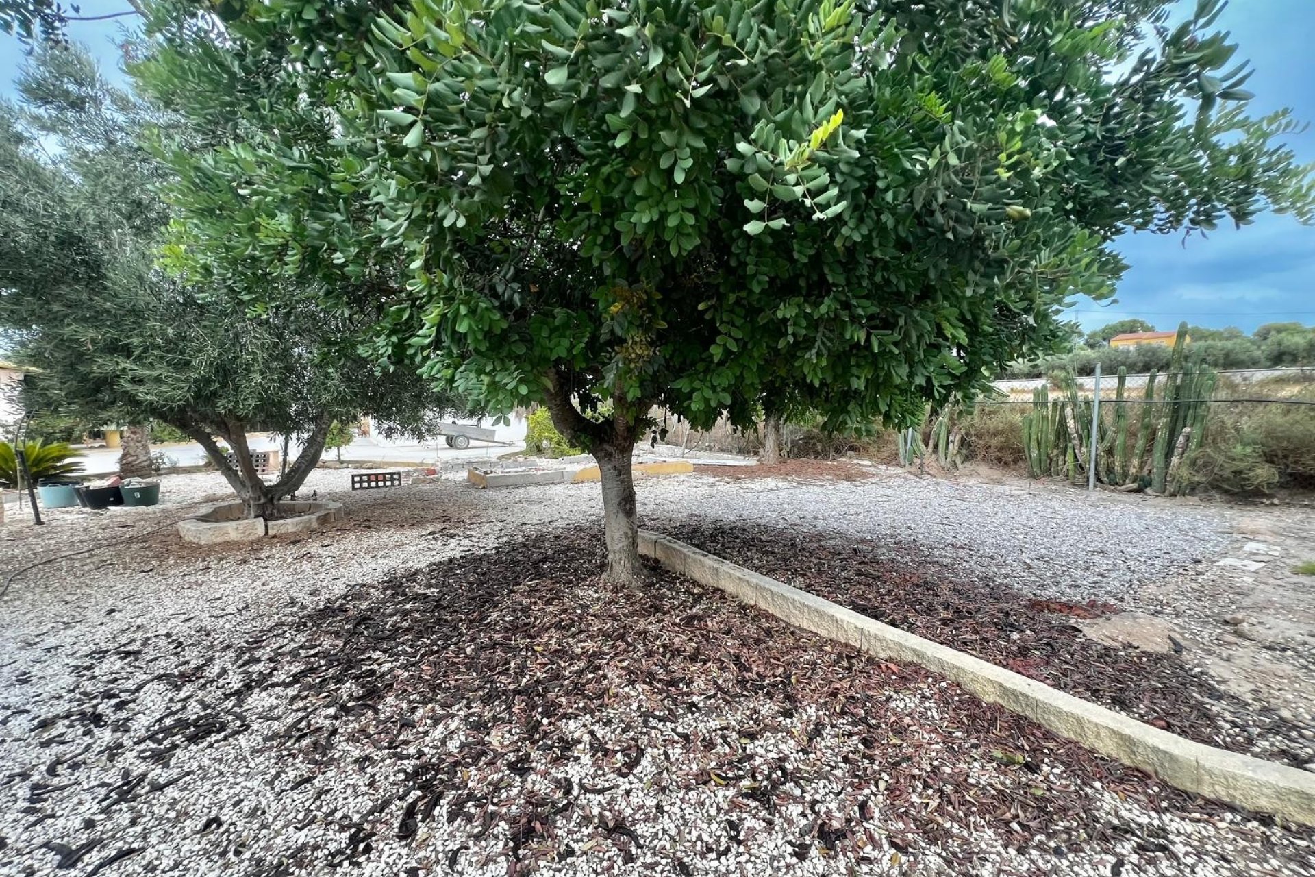 Reventa - Finca - San Fulgencio - San Fulgencio - Country