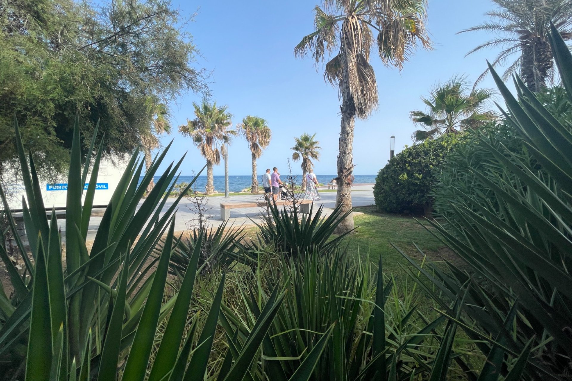 Reventa - Local Comercial - Torrevieja - Comunidad valenciana