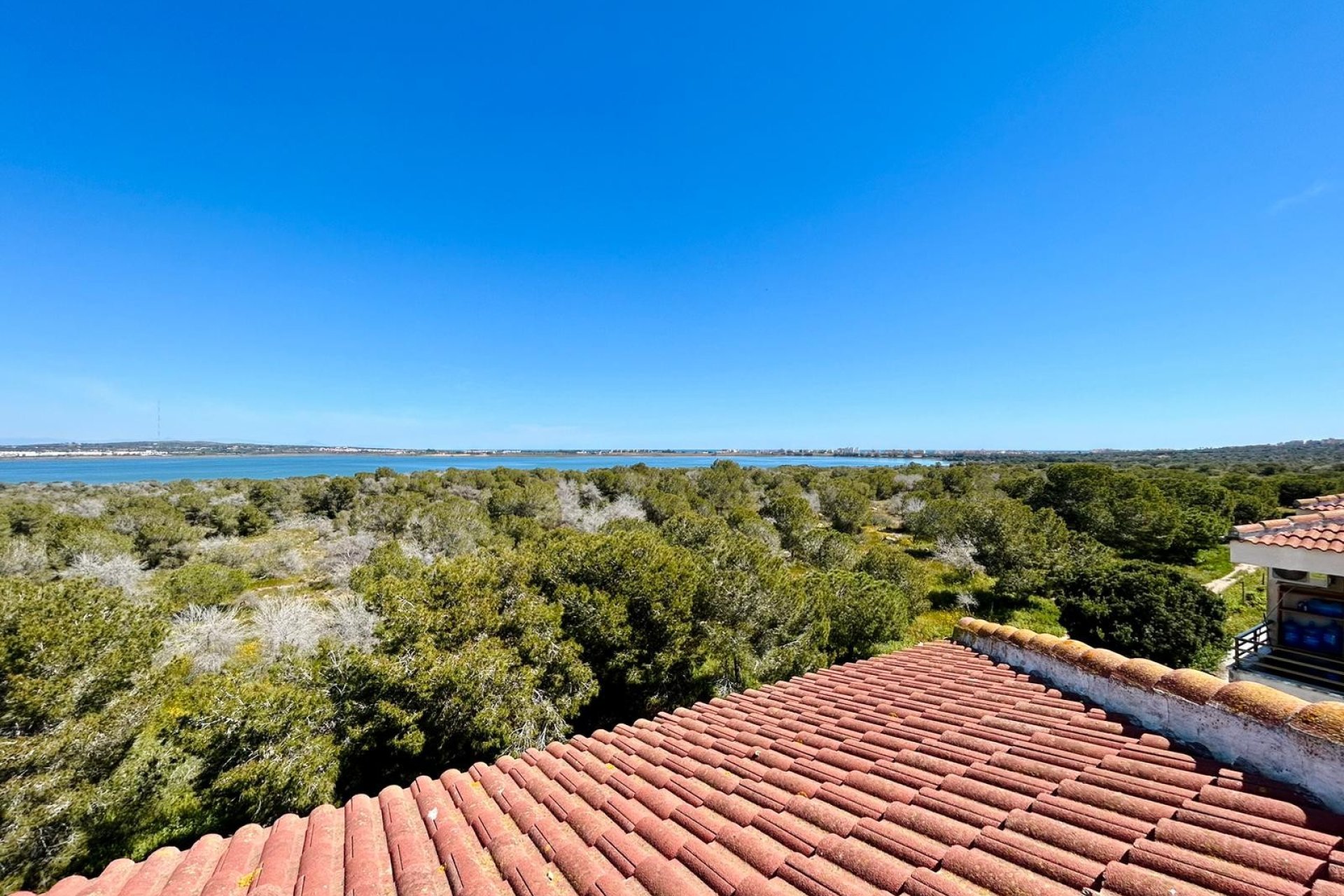 Reventa - studio apartment - Torrevieja - El Chaparral