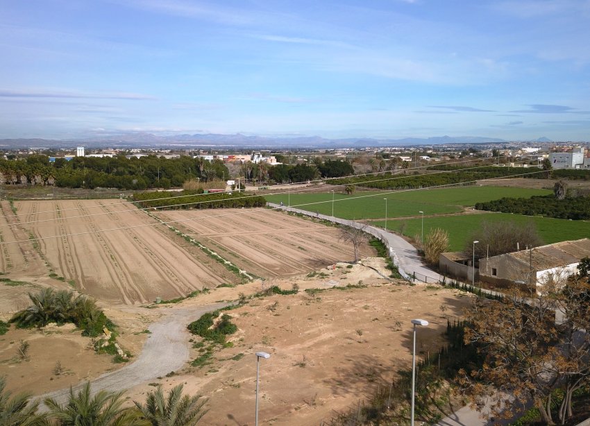 Reventa - Terreno - Benijofar