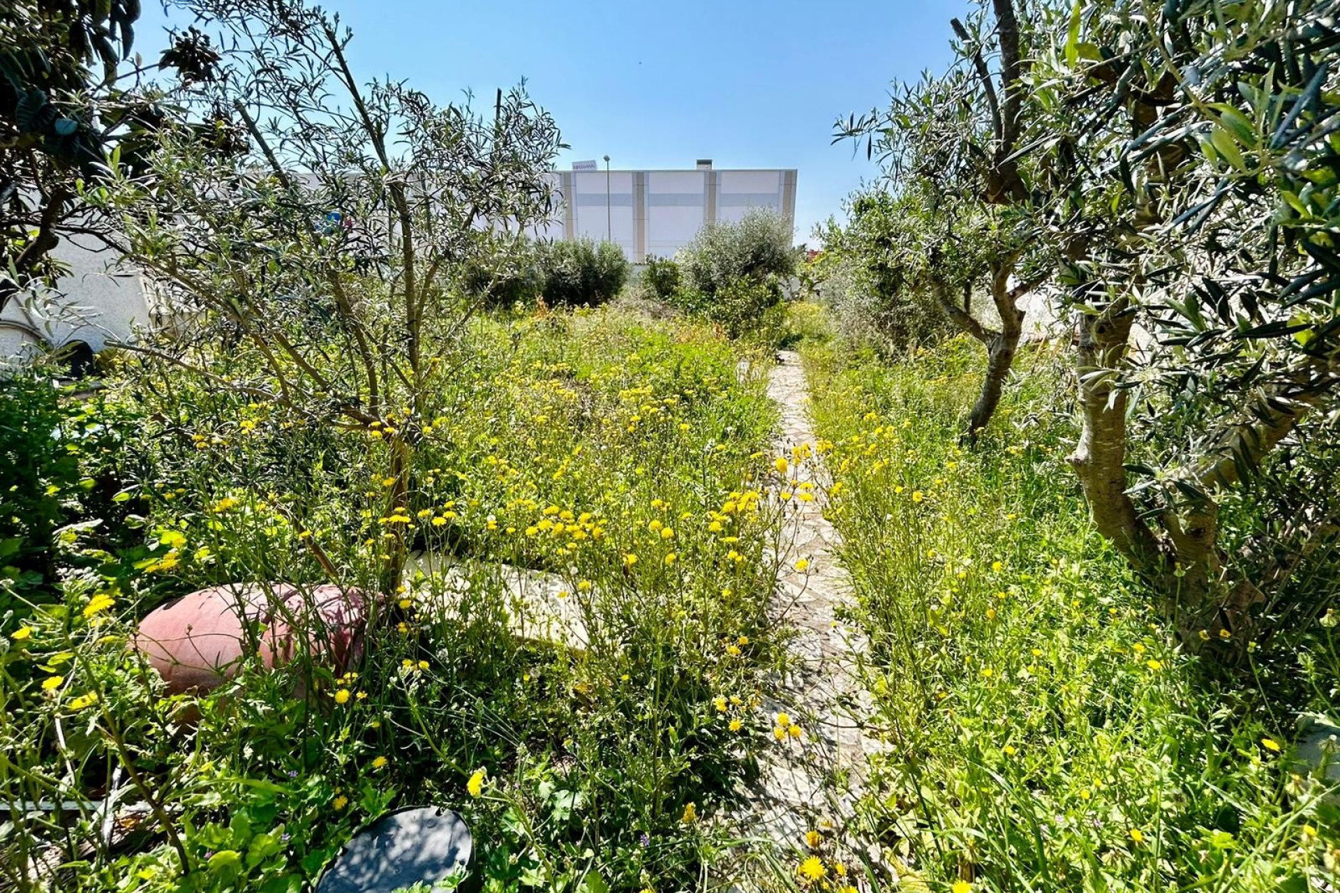 Reventa - Terreno - Ciudad Quesada - Rojales