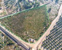 Reventa - Terreno - Crevillent - Comunidad valenciana