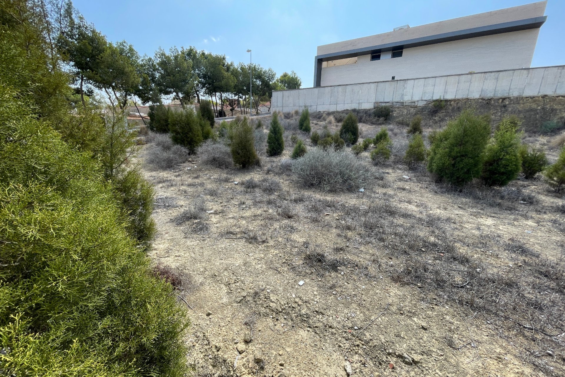 Reventa - Terreno - Rojales