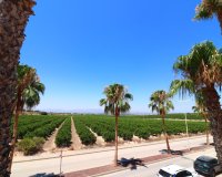 Reventa - Villa - Algorfa - La Finca Golf Resort