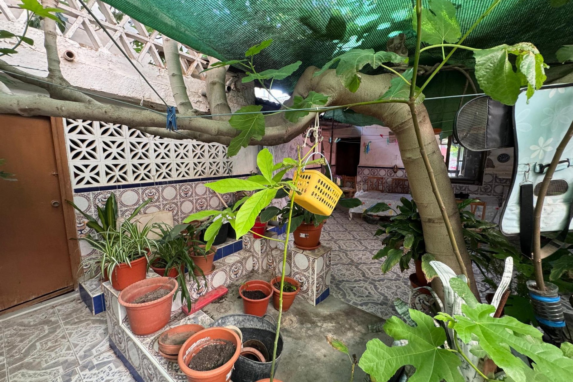 Reventa - Villa - Benejúzar