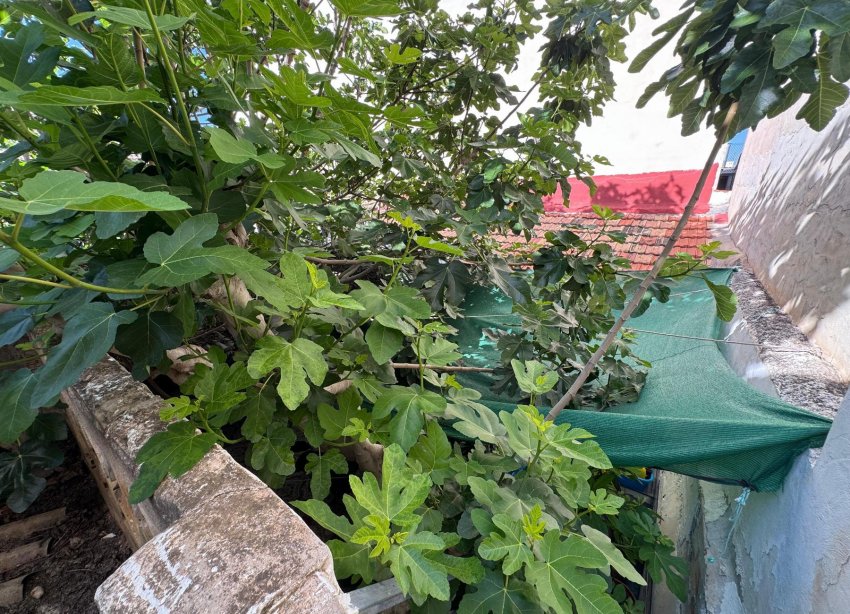 Reventa - Villa - Benejúzar