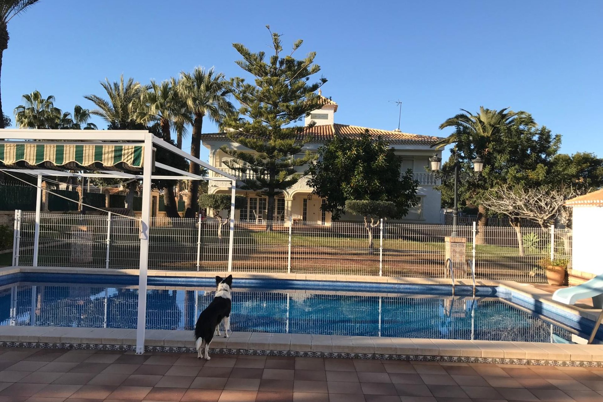 Reventa - Villa - Cabo Roig