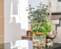 Reventa - Villa / Casa - Ciudad Quesada - Lo pepin