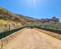 Reventa - Villa / Casa - Crevillente
