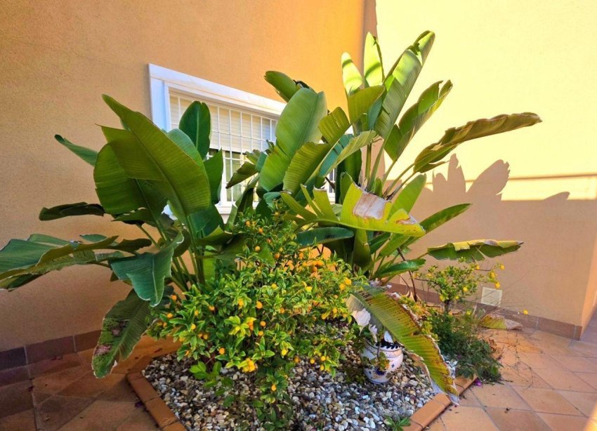 Reventa - Villa / Casa - Dehesa de campoamor - Campoamor