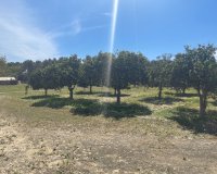 Reventa - Villa / Casa - Guardamar del Segura - Valencian Community