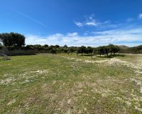 Reventa - Villa / Casa - Guardamar del Segura - Valencian Community