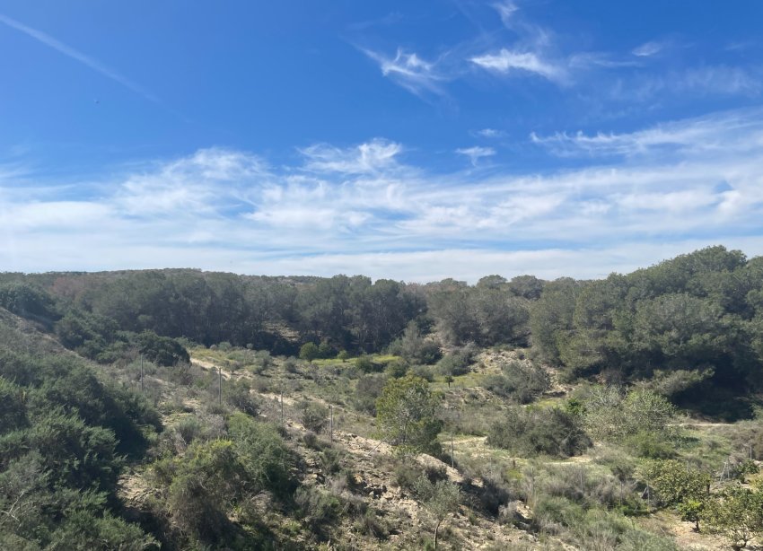 Reventa - Villa / Casa - Guardamar del Segura - Valencian Community