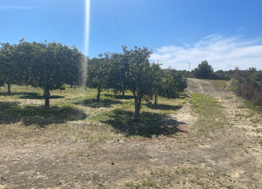 Reventa - Villa / Casa - Guardamar del Segura - Valencian Community