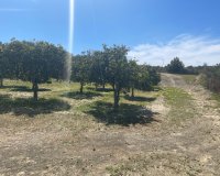 Reventa - Villa / Casa - Guardamar del Segura - Valencian Community