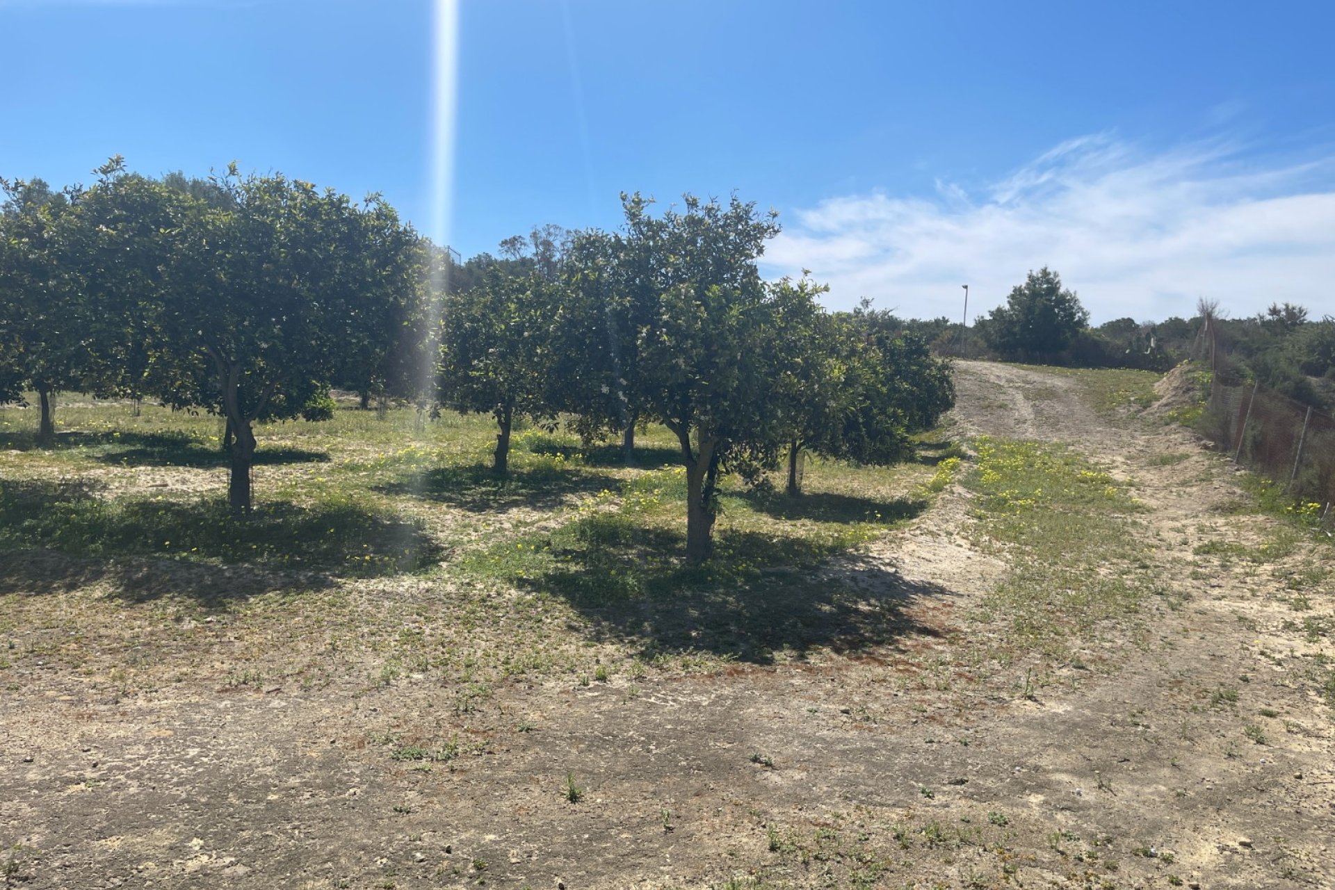 Reventa - Villa / Casa - Guardamar del Segura - Valencian Community