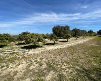 Reventa - Villa / Casa - Guardamar del Segura - Valencian Community