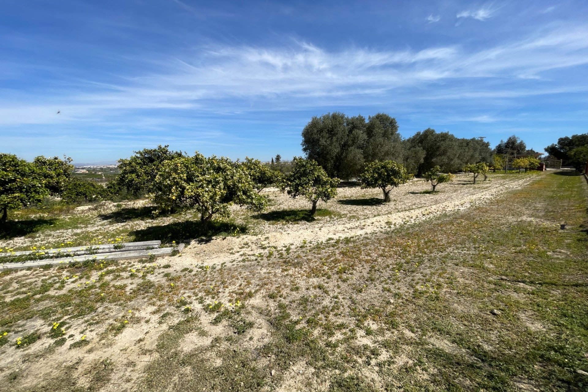 Reventa - Villa / Casa - Guardamar del Segura - Valencian Community