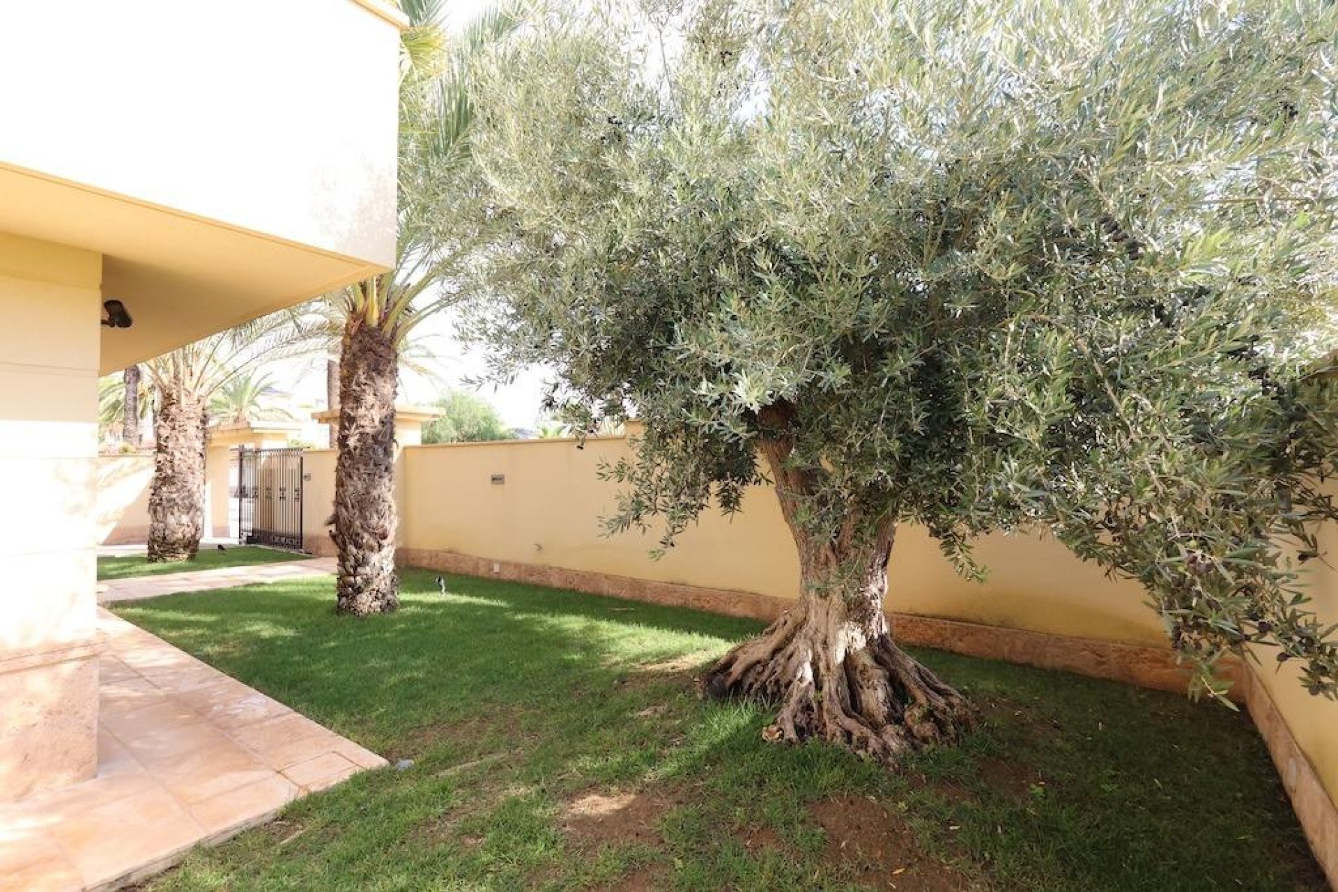 Reventa - Villa / Casa - Orihuela Costa - Costa blanca