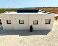 Reventa - Villa / Casa - Pinoso