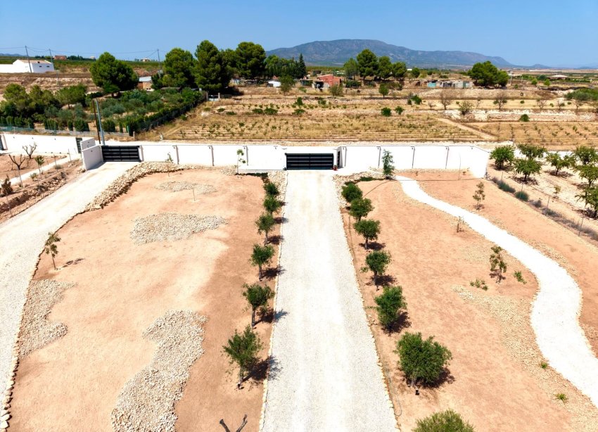 Reventa - Villa / Casa - Pinoso