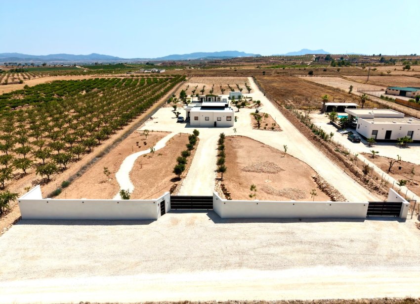 Reventa - Villa / Casa - Pinoso
