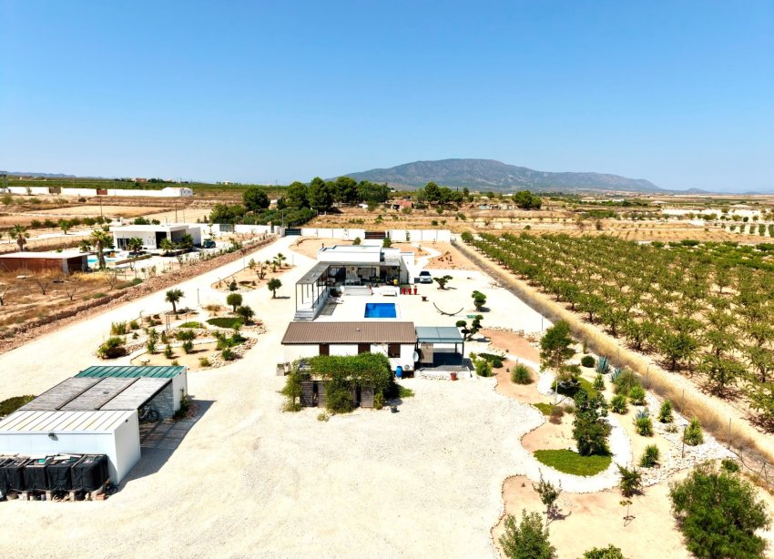 Reventa - Villa / Casa - Pinoso