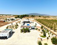 Reventa - Villa / Casa - Pinoso