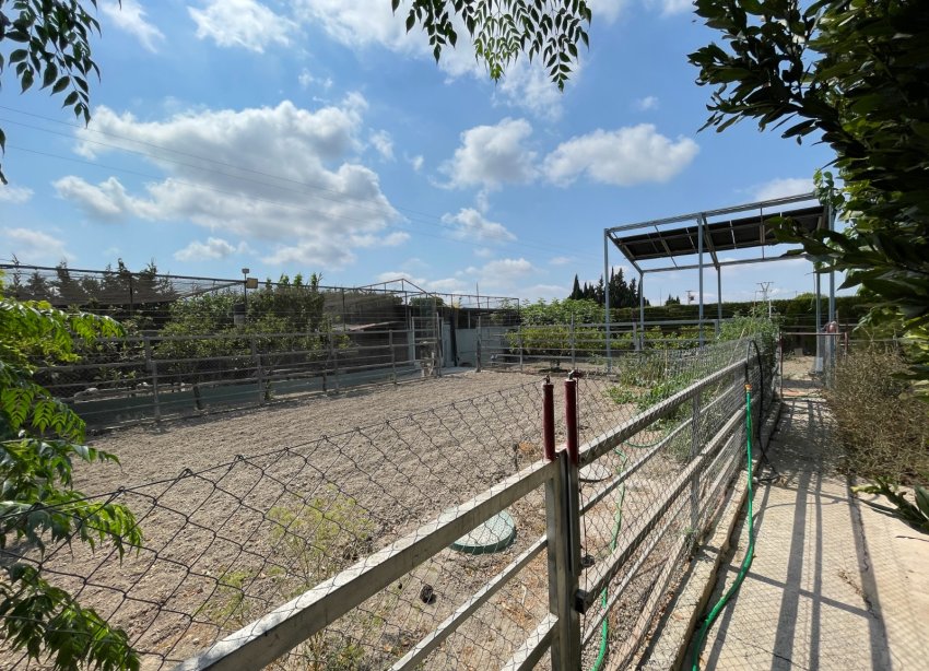 Reventa - Villa / Casa - San Fulgencio - La Marina