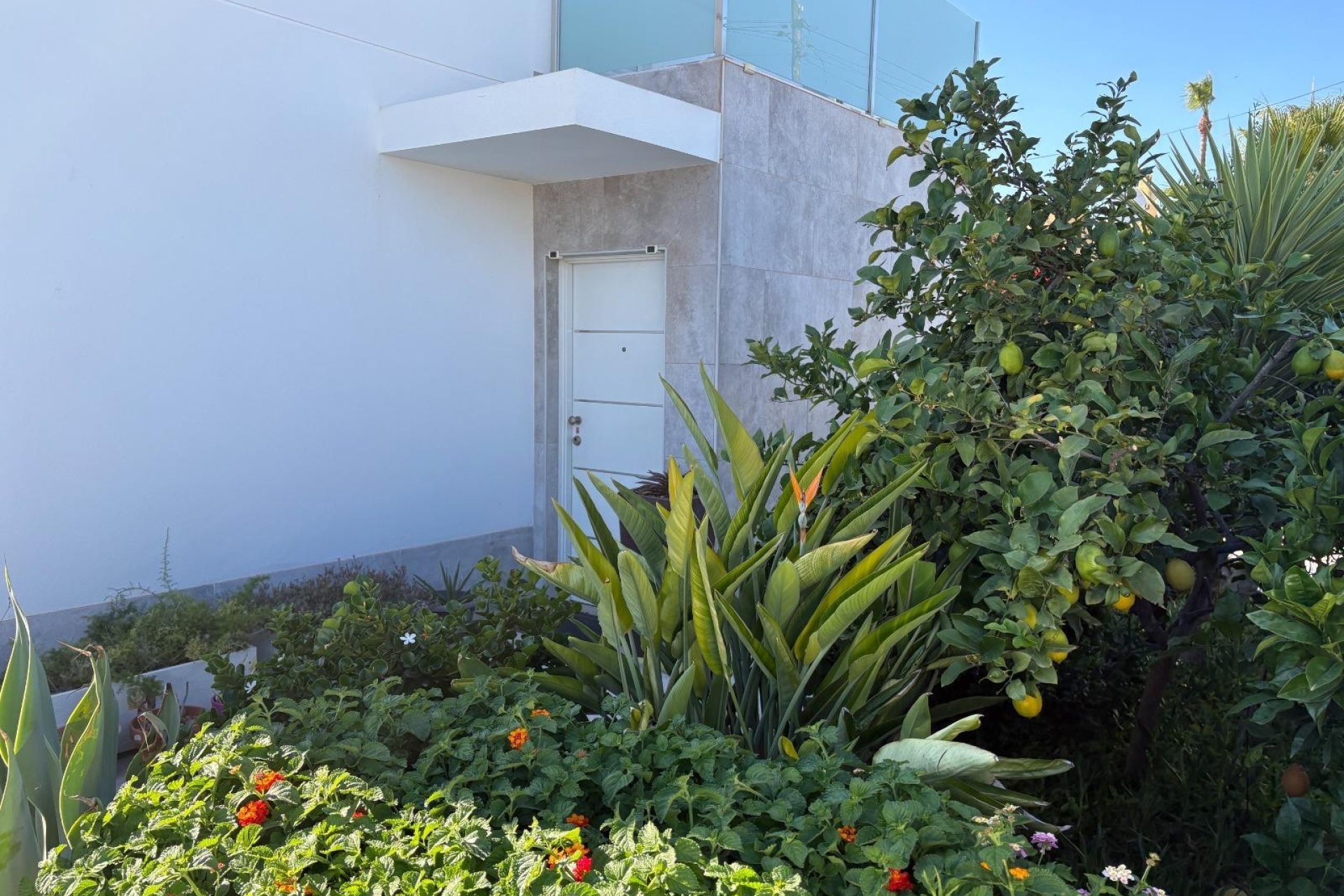 Reventa - Villa / Casa - Torrevieja - La Siesta
