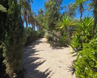 Reventa - Villa - Elche
