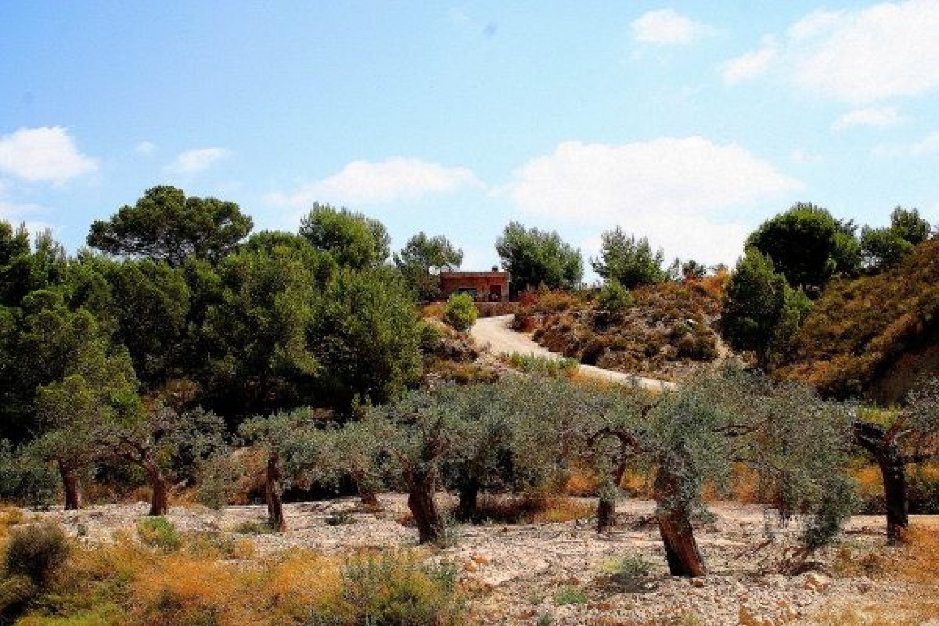 Reventa - Villa - Murcia