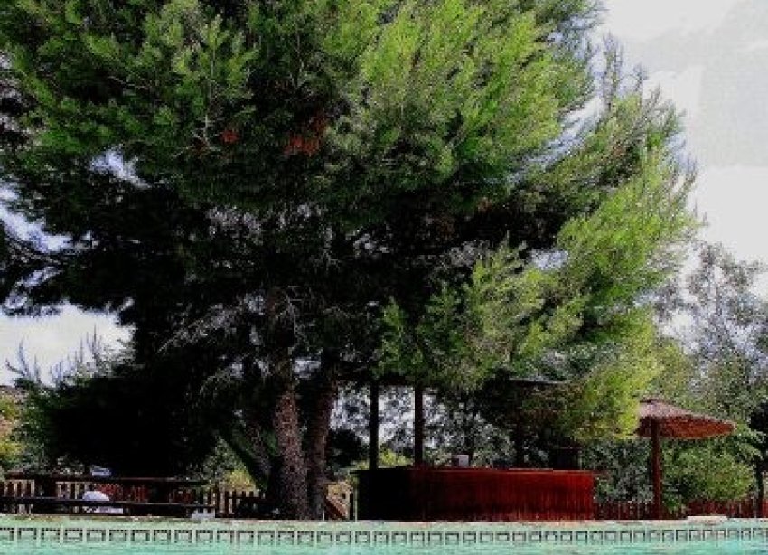 Reventa - Villa - Murcia