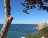 Reventa - Villa - Orihuela Costa - Cabo Roig