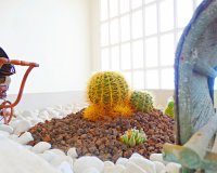 Reventa - Villa - Orihuela Costa - Cabo Roig