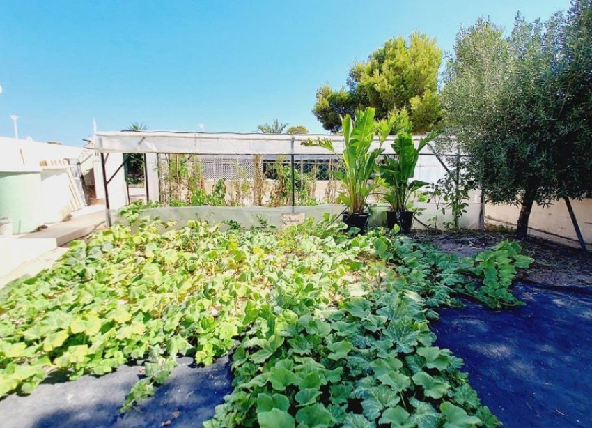 Reventa - Villa - Orihuela Costa - Campoamor